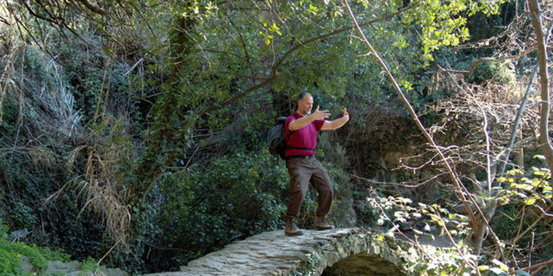 Qui-Gong-1